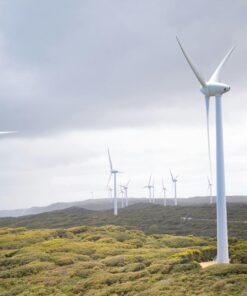 Middlemoor Wind Farm